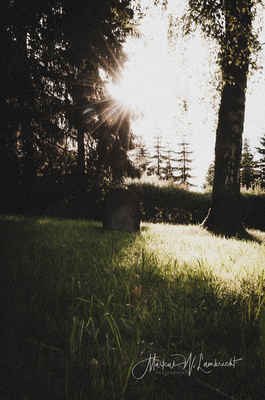 Breuna, Jüdischer Friedhof